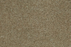 carpet revive bayshore swatch feltex carpets