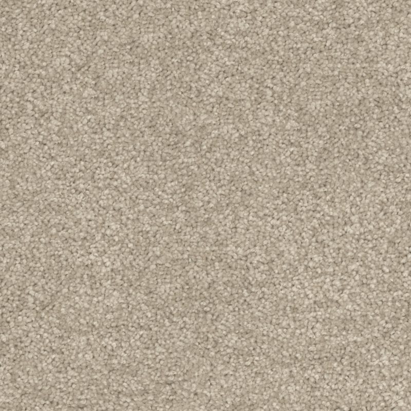 912 Dappled Grey Carpet Swatch Print