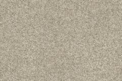 913 Oyster Shell Carpet Swatch Print
