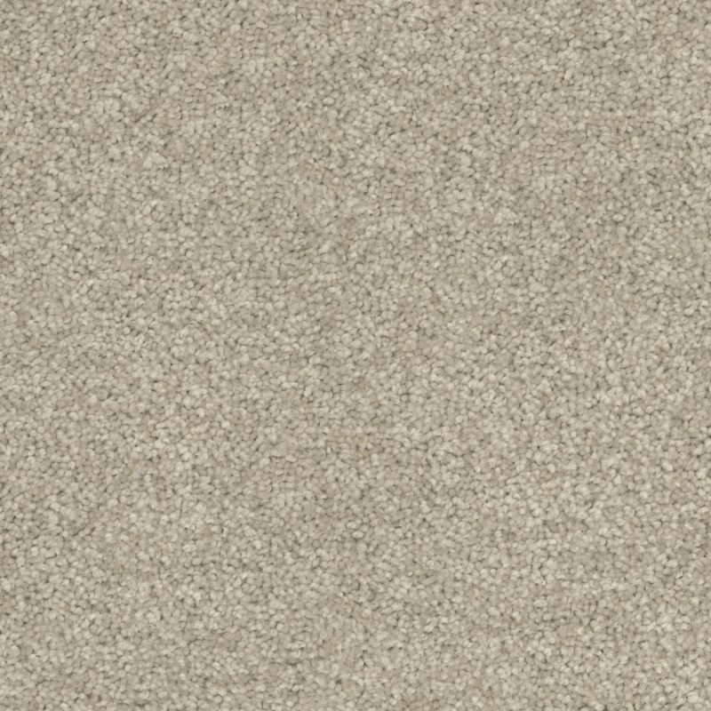 913 Oyster Shell Carpet Swatch Print