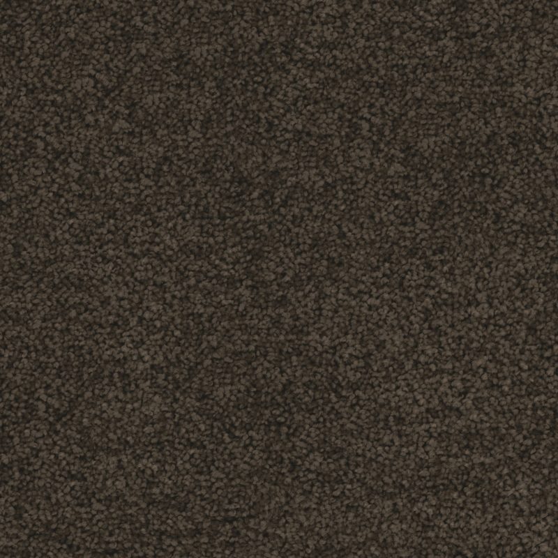 99 Dark Granite Carpet Swatch Print